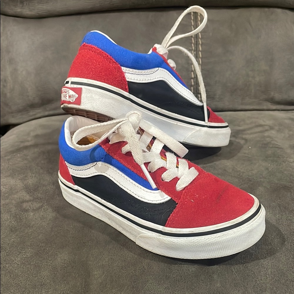 Vans Bold Red and Blue Skate Shoes
